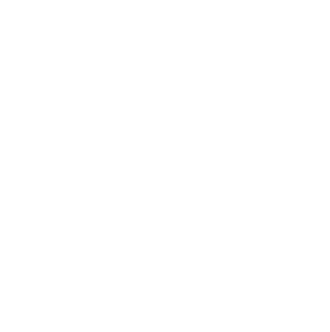 Logo IVSS